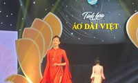 Art program honors ao dai