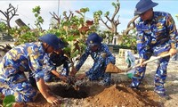 “For a green Truong Sa” model stabilizes island environment