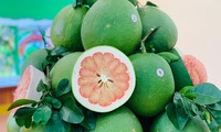 Ben Tre fresh pomelos exported to US market