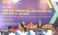 Vietnamese businesses seek to boost exports to Eurasia