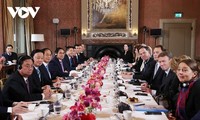 Vietnam, Netherlands pledge to promote comprehensive partnership