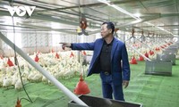 Digital transformation brings Quang Ninh’s livestock breeders huge profits