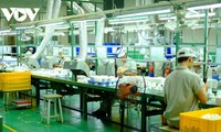 Vietnam has positive economic prospects  