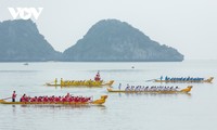 Dragon boat racing on Cat Ba Island excites crowds