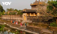 Discovering cornflower blossoming season in Hue Citadel and sampling lotus tea