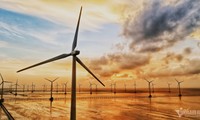 Wind farm - a new tourist spot in Bac Lieu province