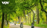 Autumn arrives in Hanoi