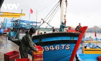 Da Nang fishermen have bumper Lunar New Year catches