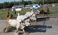 Clôture de la fête des Khmers du Nam Bô