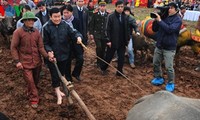 Le Président Truong Tân Sang à la fête des labours