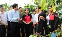 Le président Truong Tan Sang à Dac Lac