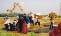 Formation professionnelle et nouvelle ruralité