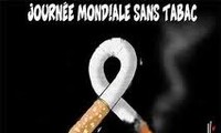 Activité en réponse à la Journée mondiale sans tabac