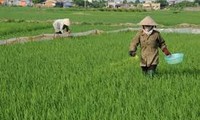 La nouvelle ruralité à Quynh Minh, dans la province de Thai Binh