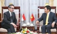 Entretien entre Pham Binh Minh et Marty Natalegawa