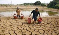 40 millions de dollars d'aides américaines contre le changement climatique au VN