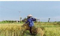 Nouvelle ruralité, nouvelle main d’oeuvre