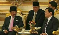 Le président Truong Tân Sang achève sa visite d’Etat au Brunei