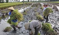 PCV : la terre appartient au peuple représenté par l’Etat