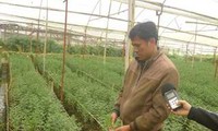 Figure vietnamienne : Vu Nhuan, un horticulteur avant-gardiste