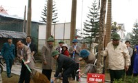 La fête de la plantation d’arbres lancée partout au pays