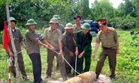 Régler les conséquences des bombes et des mines datant de la guerre