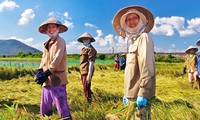 Le Vietnam et le Japon renforcent la coopération agricole