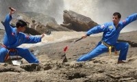 Le Vovinam - grande fierté des Vietnamiens