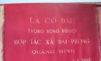 La vitalité de Đại Phong