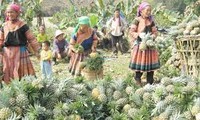 L’ONU salue les efforts du Vietnam dans la réalisation des objectifs du millénaire