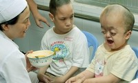 Activités en écho à la journée pour les victimes de l’agent orange 