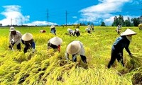 Restructuration de l’agriculture en vue d’un développement du Delta du Mékong