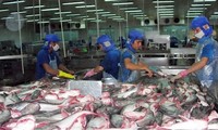 Pangasius du Vietnam: Les Etats Unis imposent des taxes élevées