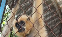  Concours d’écriture sur la lutte contre le trafic des espèces sauvages