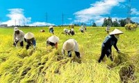 Améliorer la productivité agricole pour assurer la sécurité alimentaire