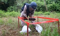 Le Royaume-Uni continue d'aider le Vietnam dans la réparation des dommages de guerre