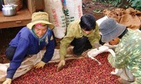 Forum des entreprises Vietnam-Inde