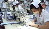 Promouvoir les investissements dans les zones industrielles vietnamiennes