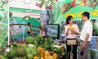 La Foire-exposition de l’industrie, de l’agriculture et du commerce  dans les Hautx plateaux