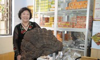 Nguyên Thi Chinh, championne des champignons!