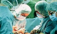 La transplantation d’organes, une réussite du secteur de la santé vietnamien