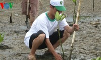 Le 1er festival de la forêt est prévu au Vietnam fin 2014