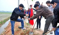 Danang lance son « Tet de plantation d’arbres » 2014