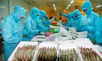 Le Vietnam table sur 6,7 milliards de dollars d’exportations aquicoles en 2014