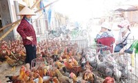 Le Vietnam est prêt à affronter la grippe A H7N9