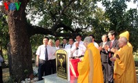 Reconnaissance de nouveaux arbres patrimoines du Vietnam