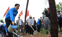 L’Union de la jeunesse communiste Ho Chi Minh déclenche la fête de plantation d’arbres