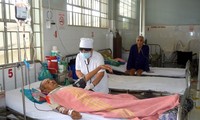 Activités en l’honneur de la journée des médecins vietnamiens 