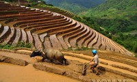 Les Mông, des architectes de la nature