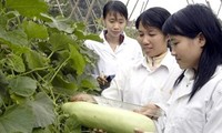 Signature de l’accord de coopération agricole Vietnam- Mozambique